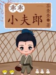 乖乖小夫郎好看吗