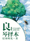 良琴择木小说完整版